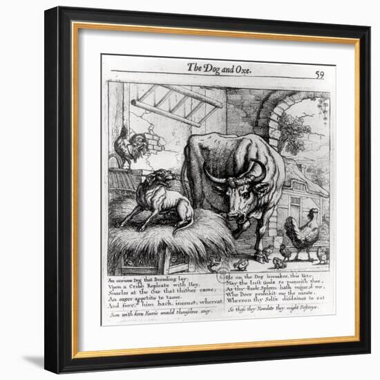 Illustration for "The Dog and the Ox", from Aesop's Fables, 1666-Francis Barlow-Framed Giclee Print