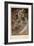 Illustration for the Illustrated Edition Le Pater-Alphonse Mucha-Framed Giclee Print