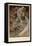 Illustration for the Illustrated Edition Le Pater-Alphonse Mucha-Framed Premier Image Canvas