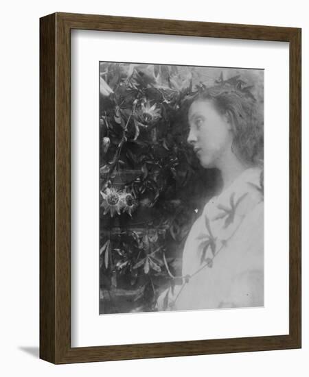 Illustration for the Poem 'Maud' by Alfred, Lord Tennyson, 1865 (Albumen Print)-Julia Margaret Cameron-Framed Giclee Print