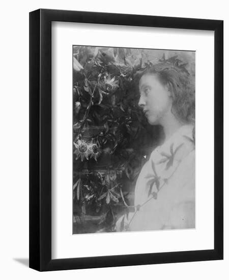 Illustration for the Poem 'Maud' by Alfred, Lord Tennyson, 1865 (Albumen Print)-Julia Margaret Cameron-Framed Giclee Print