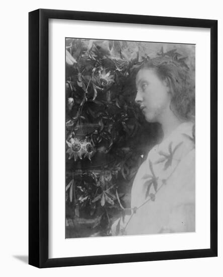 Illustration for the Poem 'Maud' by Alfred, Lord Tennyson, 1865 (Albumen Print)-Julia Margaret Cameron-Framed Giclee Print