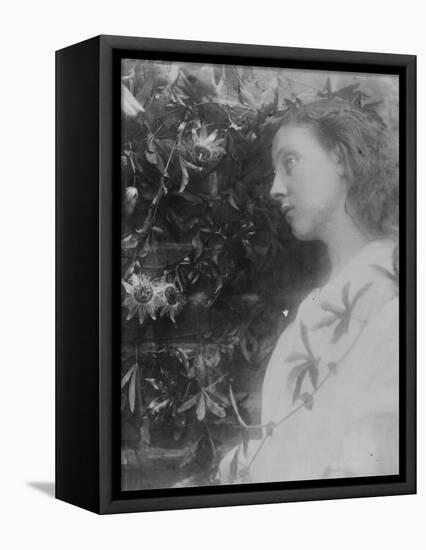 Illustration for the Poem 'Maud' by Alfred, Lord Tennyson, 1865 (Albumen Print)-Julia Margaret Cameron-Framed Premier Image Canvas