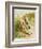 Illustration from 'A Frog He Would A-Wooing Go'-Randolph Caldecott-Framed Giclee Print