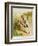 Illustration from 'A Frog He Would A-Wooing Go'-Randolph Caldecott-Framed Giclee Print