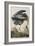 Illustration from 'Birds of America', 1827-38 (Hand-Coloured and Aquatint)-John James Audubon-Framed Giclee Print