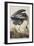 Illustration from 'Birds of America', 1827-38 (Hand-Coloured and Aquatint)-John James Audubon-Framed Giclee Print