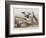 Illustration from 'Birds of America', 1827-38-John James Audubon-Framed Giclee Print