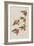 Illustration from 'Birds of America', 1827-38-John James Audubon-Framed Giclee Print