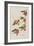 Illustration from 'Birds of America', 1827-38-John James Audubon-Framed Giclee Print