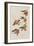 Illustration from 'Birds of America', 1827-38-John James Audubon-Framed Giclee Print