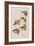 Illustration from 'Birds of America', 1827-38-John James Audubon-Framed Giclee Print