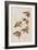 Illustration from 'Birds of America', 1827-38-John James Audubon-Framed Giclee Print