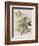 Illustration from 'Birds of America', 1827-38-John James Audubon-Framed Giclee Print