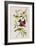 Illustration from 'Birds of America', 1827-38-John James Audubon-Framed Giclee Print