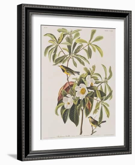 Illustration from 'Birds of America', 1827-38-John James Audubon-Framed Giclee Print