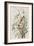 Illustration from 'Birds of America', 1827-38-John James Audubon-Framed Giclee Print