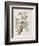 Illustration from 'Birds of America', 1827-38-John James Audubon-Framed Giclee Print