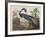 Illustration from 'Birds of America', 1827-38-John James Audubon-Framed Giclee Print