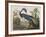 Illustration from 'Birds of America', 1827-38-John James Audubon-Framed Giclee Print