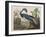 Illustration from 'Birds of America', 1827-38-John James Audubon-Framed Giclee Print