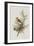 Illustration from 'Birds of America', 1827-38-John James Audubon-Framed Giclee Print