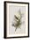 Illustration from 'Birds of America', 1827-38-John James Audubon-Framed Giclee Print