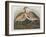 Illustration from 'Birds of America', 1827-38-John James Audubon-Framed Giclee Print