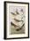 Illustration from 'Birds of America', 1827-38-John James Audubon-Framed Giclee Print