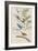 Illustration from 'Birds of America', 1827-38-John James Audubon-Framed Giclee Print