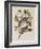 Illustration from 'Birds of America', 1827-38-John James Audubon-Framed Giclee Print