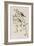 Illustration from 'Birds of America', 1827-38-John James Audubon-Framed Giclee Print