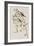 Illustration from 'Birds of America', 1827-38-John James Audubon-Framed Giclee Print