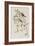 Illustration from 'Birds of America', 1827-38-John James Audubon-Framed Giclee Print