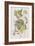 Illustration from 'Birds of America', 1827-38-John James Audubon-Framed Giclee Print