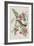 Illustration from 'Birds of America', 1827-38-John James Audubon-Framed Giclee Print