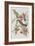 Illustration from 'Birds of America', 1827-38-John James Audubon-Framed Giclee Print