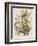 Illustration from 'Birds of America', 1827-38-John James Audubon-Framed Giclee Print