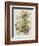 Illustration from 'Birds of America', 1827-38-John James Audubon-Framed Giclee Print