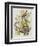 Illustration from 'Birds of America', 1827-38-John James Audubon-Framed Giclee Print