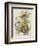 Illustration from 'Birds of America', 1827-38-John James Audubon-Framed Giclee Print