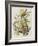 Illustration from 'Birds of America', 1827-38-John James Audubon-Framed Giclee Print