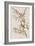 Illustration from 'Birds of America', 1827-38-John James Audubon-Framed Giclee Print