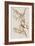 Illustration from 'Birds of America', 1827-38-John James Audubon-Framed Giclee Print