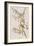 Illustration from 'Birds of America', 1827-38-John James Audubon-Framed Giclee Print