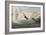 Illustration from 'Birds of America', 1827-38-John James Audubon-Framed Giclee Print