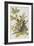 Illustration from 'Birds of America', 1827-38-John James Audubon-Framed Giclee Print