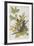 Illustration from 'Birds of America', 1827-38-John James Audubon-Framed Giclee Print