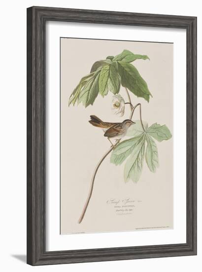 Illustration from 'Birds of America', 1827-38-John James Audubon-Framed Giclee Print