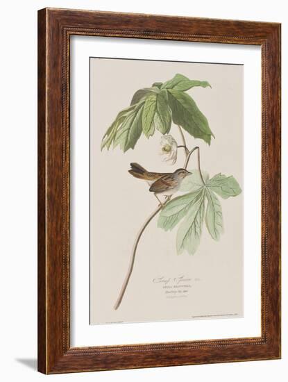 Illustration from 'Birds of America', 1827-38-John James Audubon-Framed Giclee Print